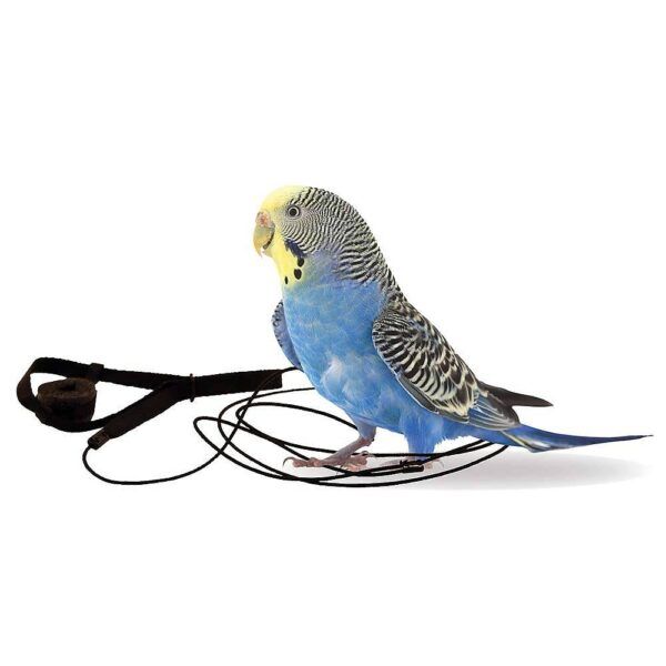 Aviator – Harness – размер – Мини Оборудване-Аксесоари Авиатор- Харнес- Нагръдник Всички продукти