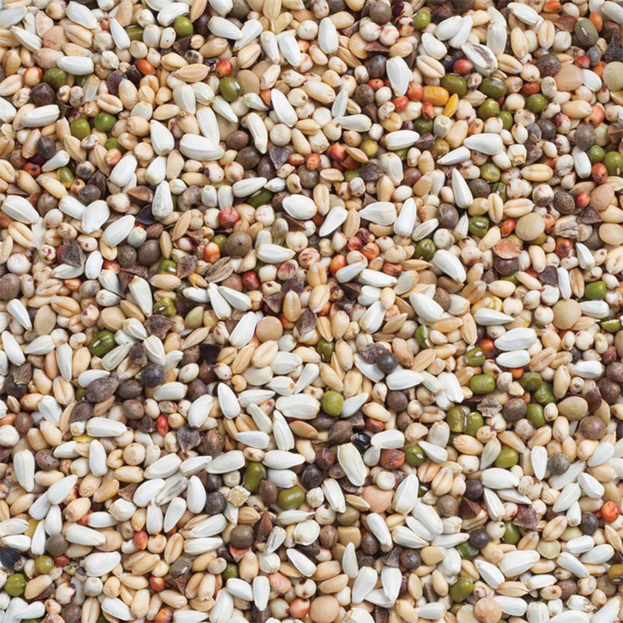 Смеска за покълване за средни и големи папагали 15 кг - Deli Nature 33 Large Parakeets & Parrots Germination Seeds - Image 2